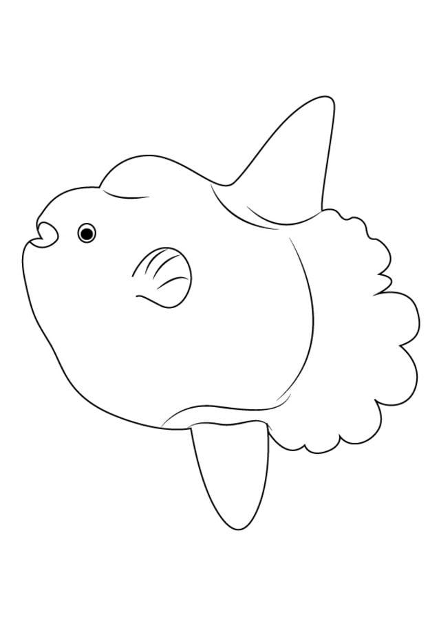 Coloring pages: Ocean Sunfish, printable for kids & adults, free