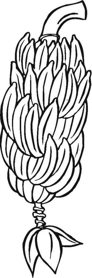 Disegni da colorare: Banana