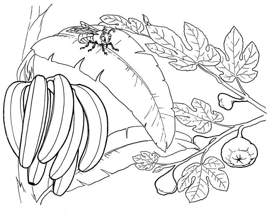 Coloriages: Banane 9