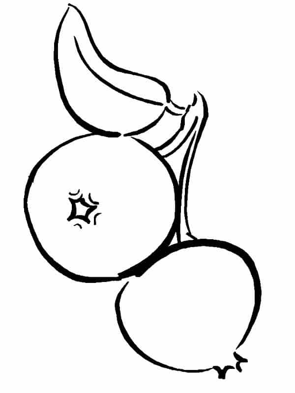 Coloring pages: Blueberry