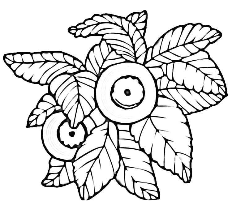 Coloring pages: Blueberry