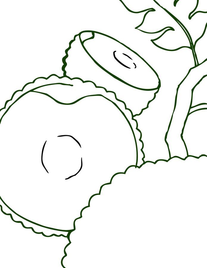 Ausmalbilder: Brotfruchtbaum
