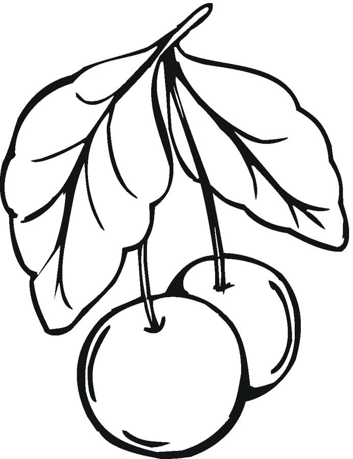 Coloring pages: Cherry