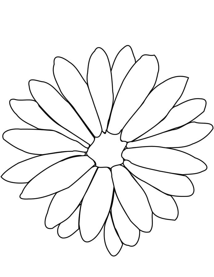 Disegni da colorare: Crisantemo 9