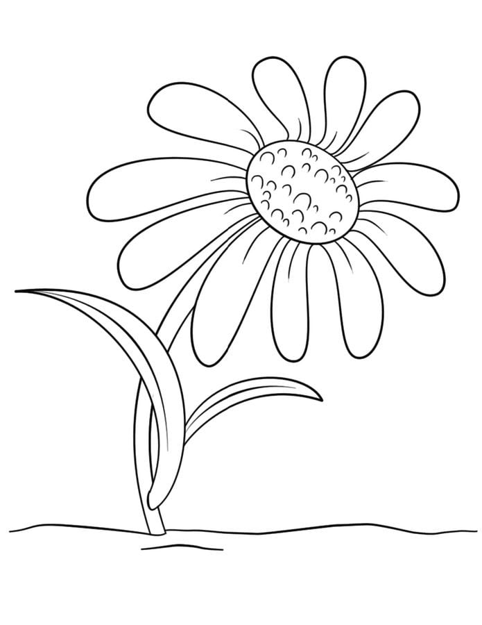 Coloring pages: Daisy 2