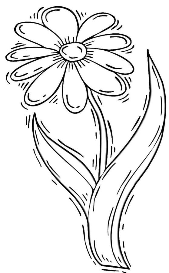 Coloring pages: Daisy 8
