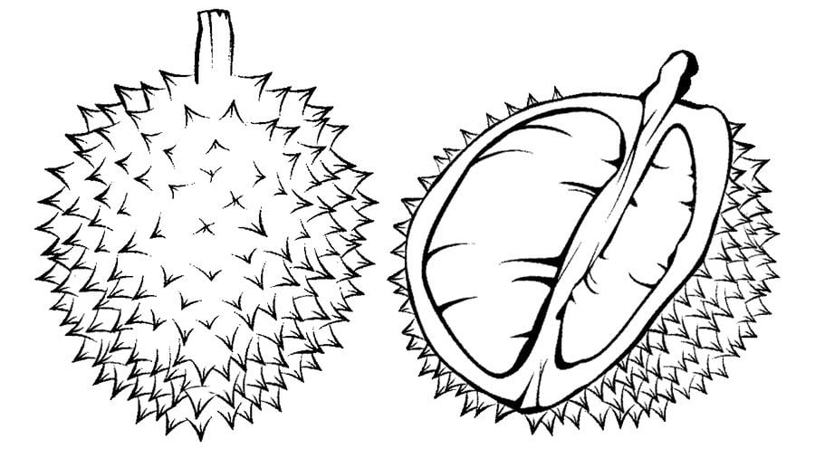 Coloring pages: Durian 1