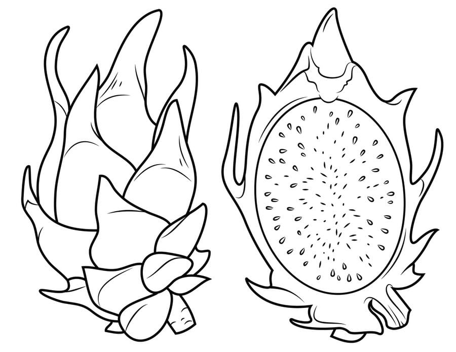 Coloring pages: Durian 3