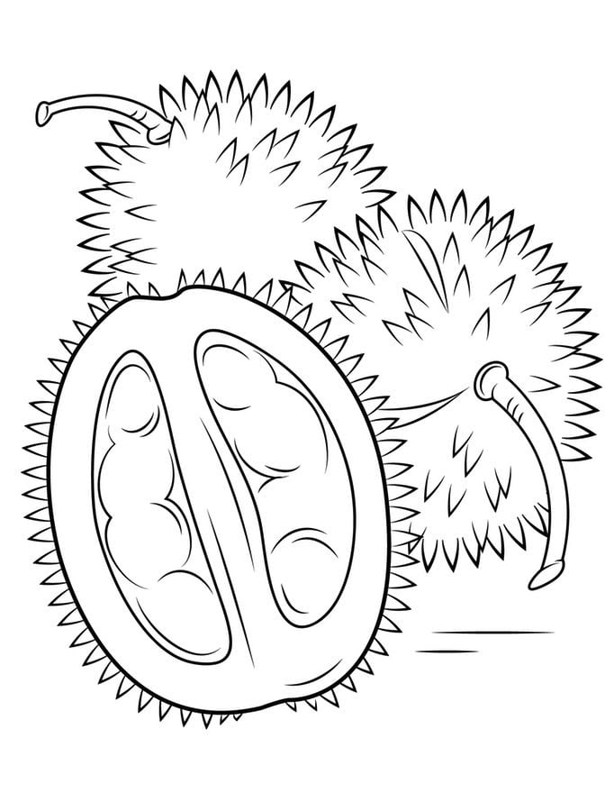Coloring pages: Durian