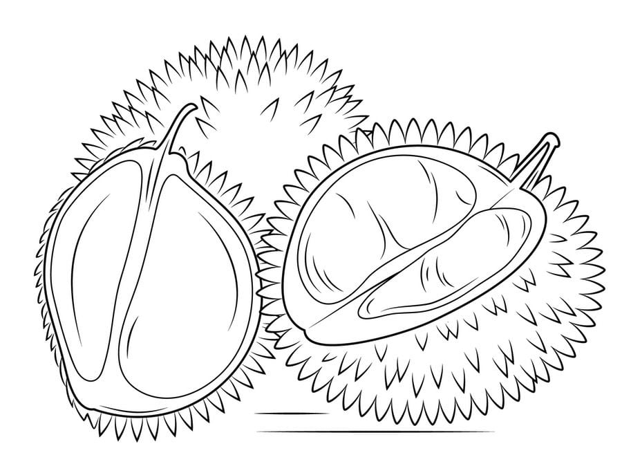 Coloring pages: Durian