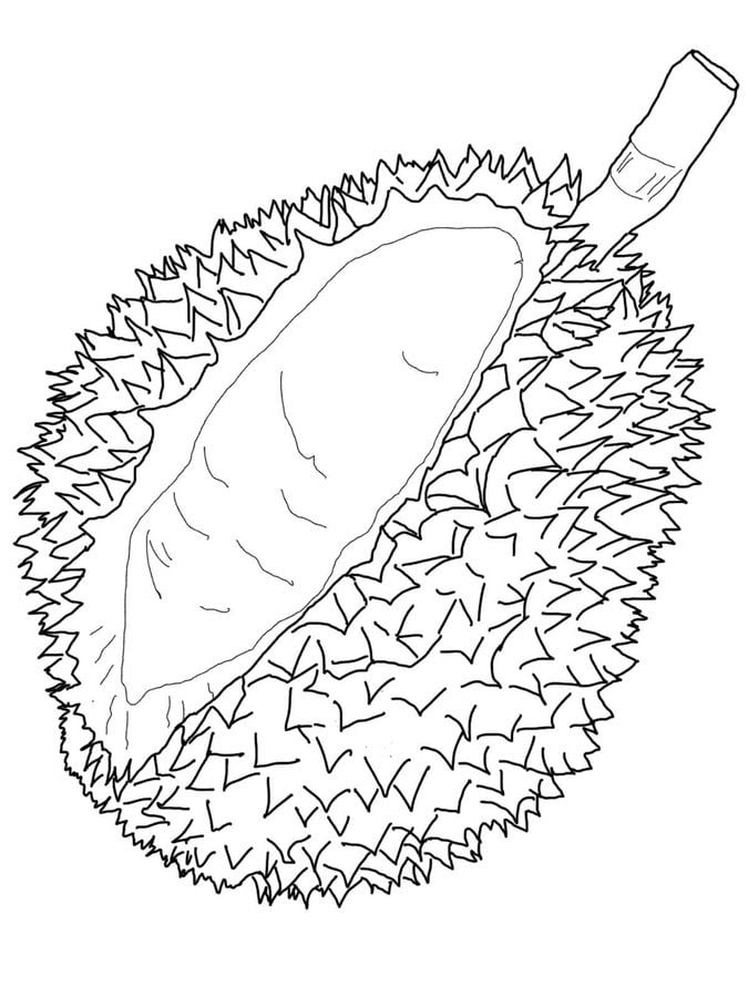 Coloring pages: Durian 6