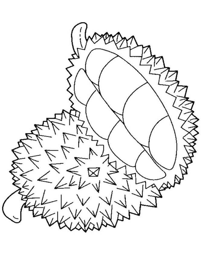 Coloring pages: Durian 7