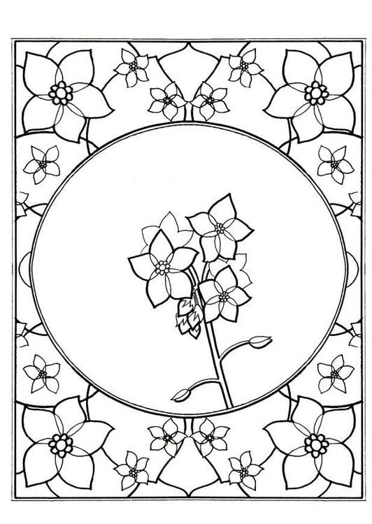 Coloring pages: Forget-me-not 8