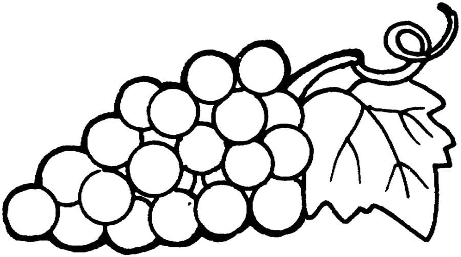 Coloring pages: Grapes