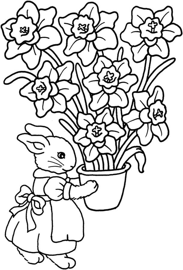 Coloring pages: Iris 3