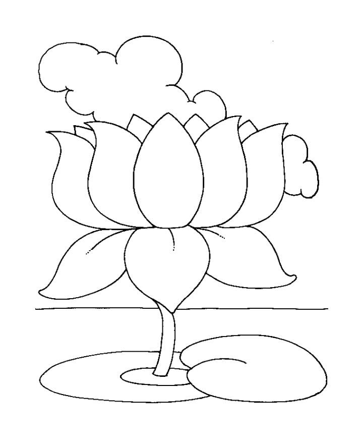 Coloring pages: Lotus 1