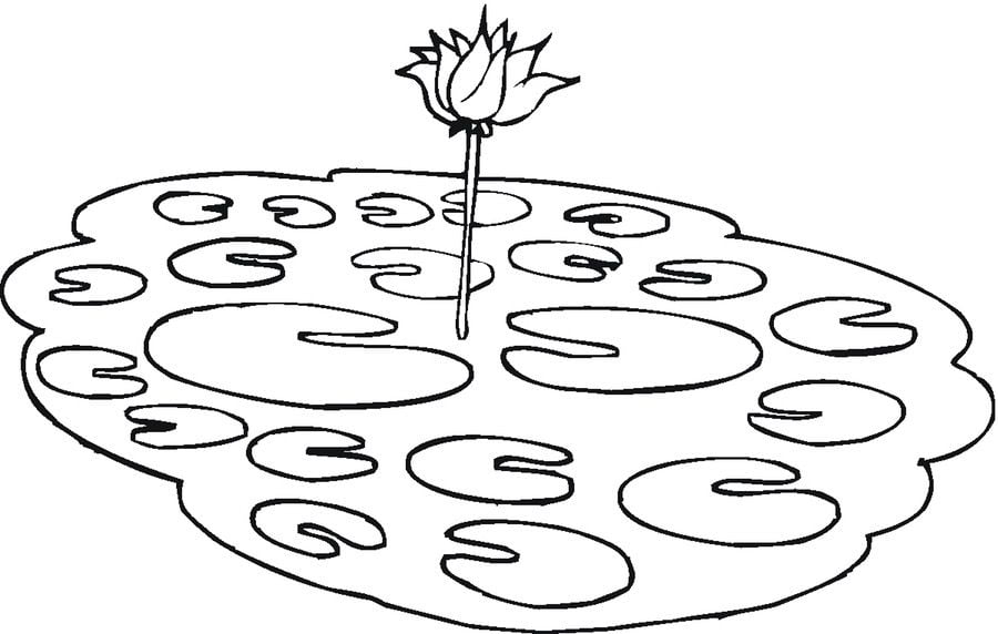 Coloring pages: Lotus 5