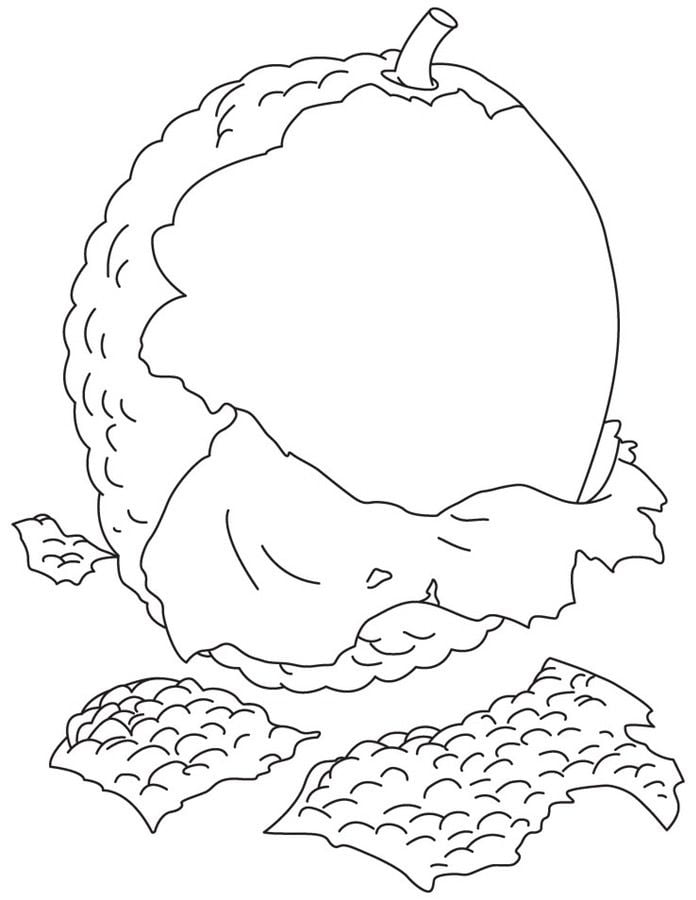 Coloring pages: Lychee