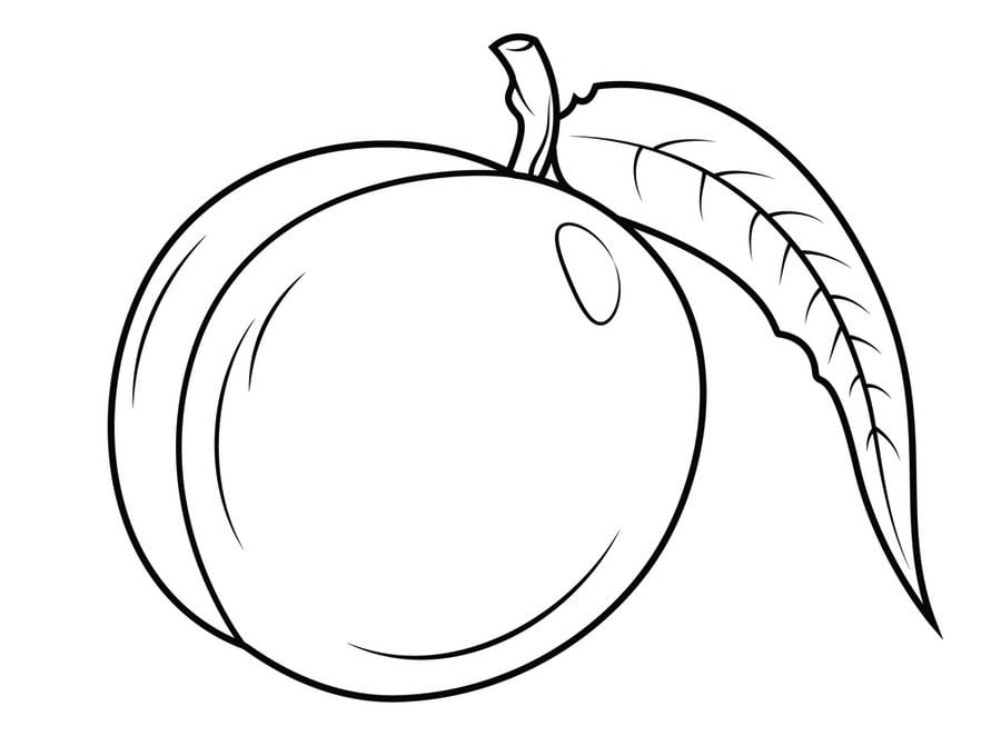 Coloring pages: Nectarines