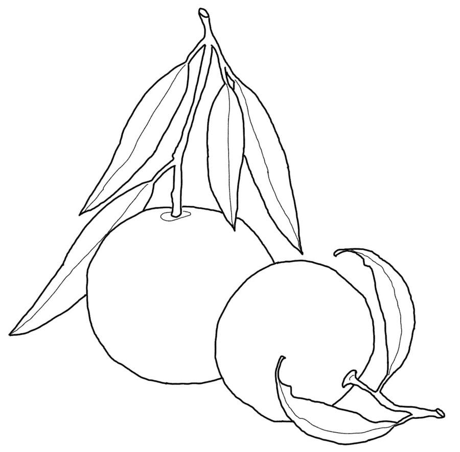 Coloring pages: Orange