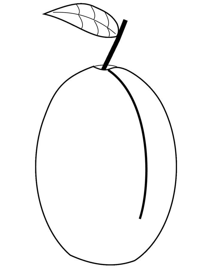 Coloring pages: Plum 3