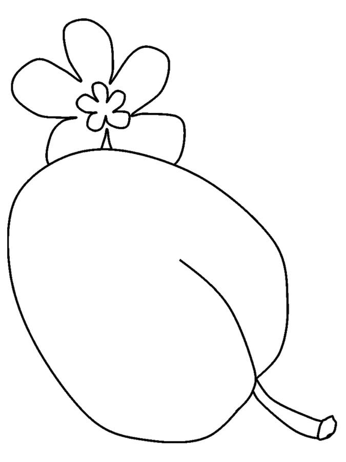 Coloring pages: Plum 2