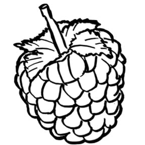 Coloring pages: Raspberry 22