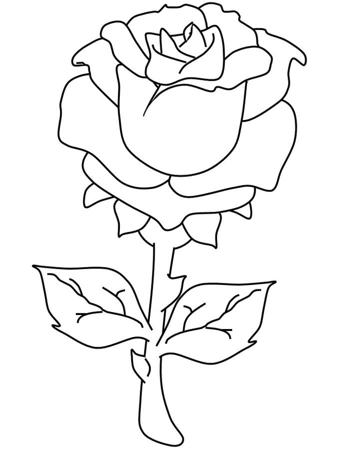 Kolorowanki: Róże