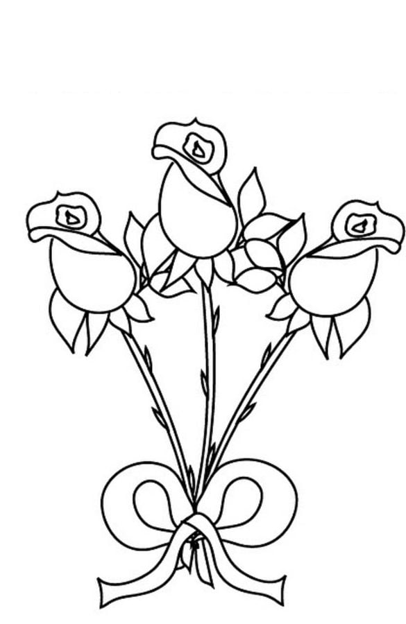 Coloring pages: Roses