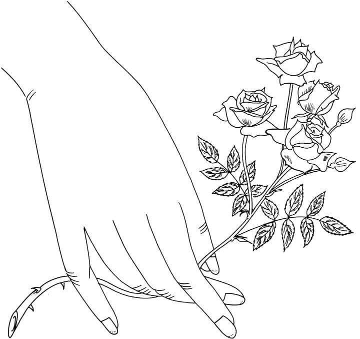 Coloring pages: Rose