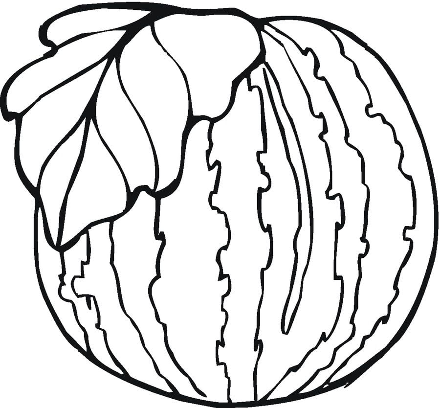 Coloring pages: Watermelon 2