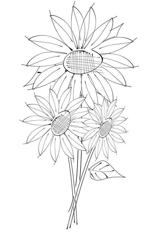 Coloring pages: Sunflowers 7