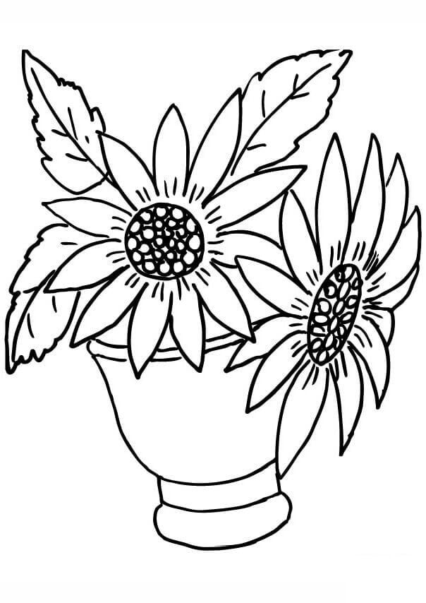 Coloring pages: Sunflowers 8