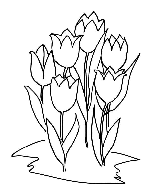 ausmalbilder ausmalbilder tulpen zum ausdrucken
