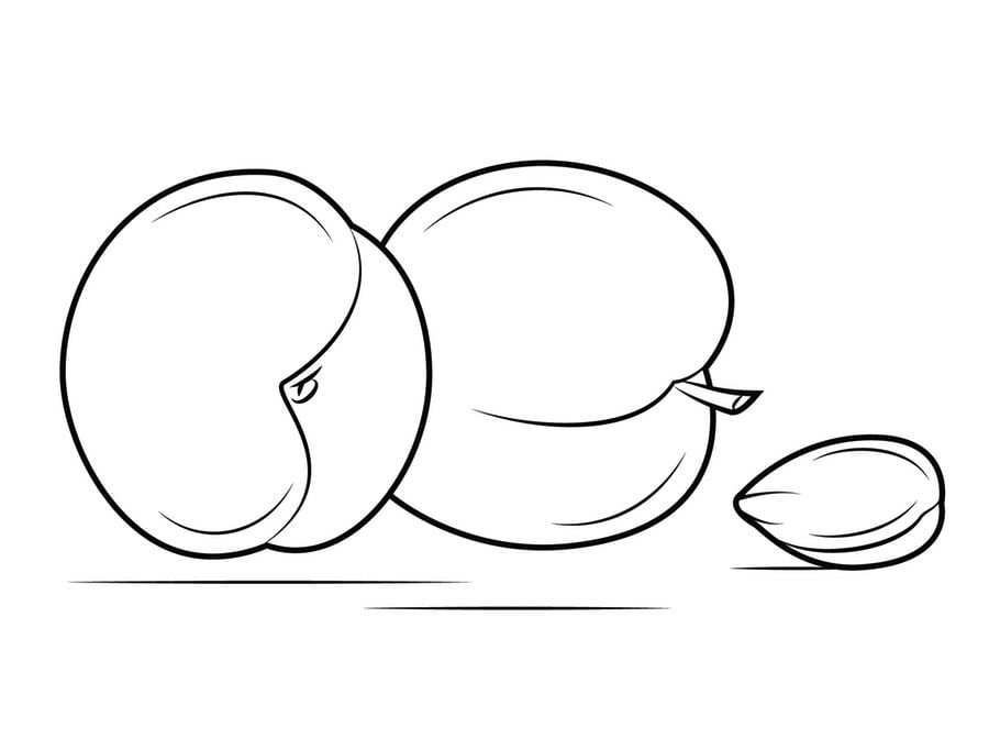 Coloring pages: Apricot