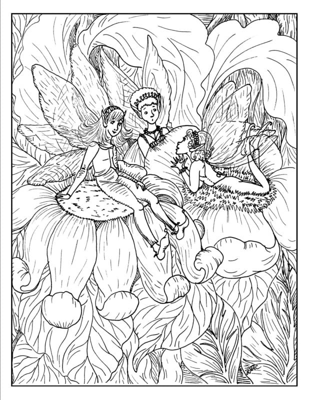 Coloring pages for adults: Fantasy
