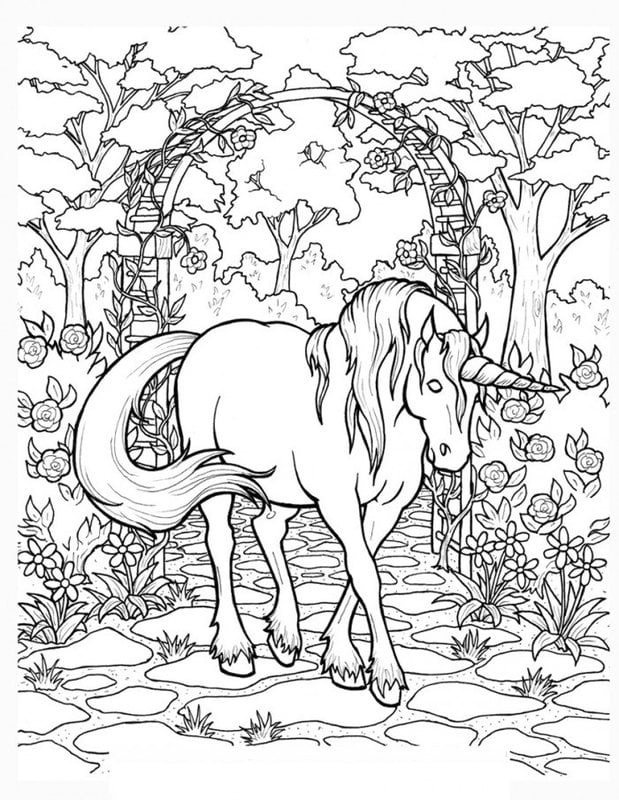 Disegni da colorare per adulti: Unicorno