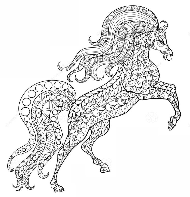 Disegni da colorare per adulti: Unicorno