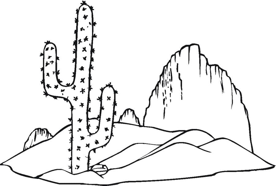 Ausmalbilder: Kaktus