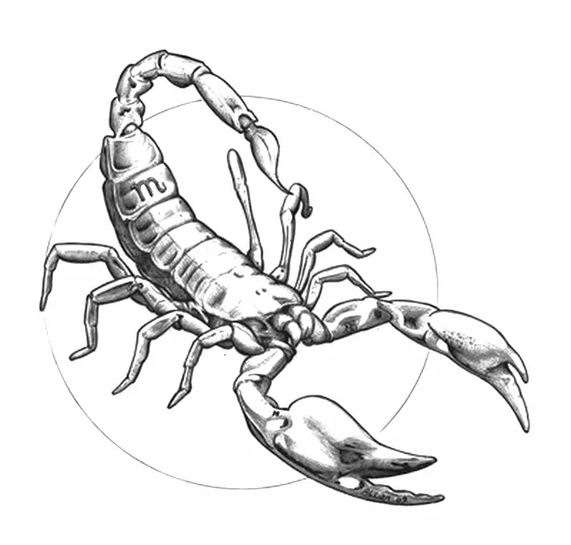 Kolorowanki dla dorosłych: Znaki zodiaku 9