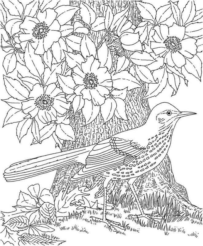 Coloring pages for adults: Summer