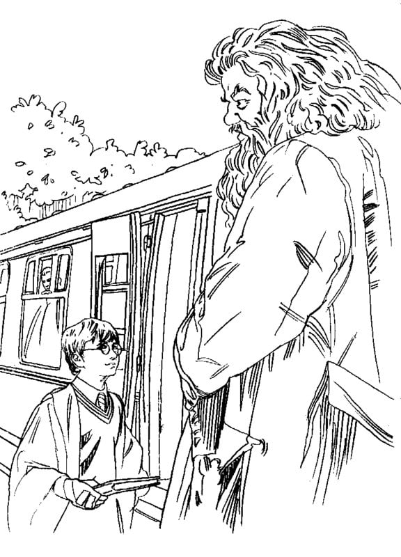 Coloring pages for adults: Harry Potter