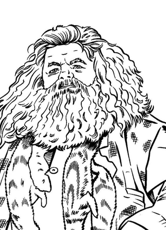 Coloring pages for adults: Harry Potter