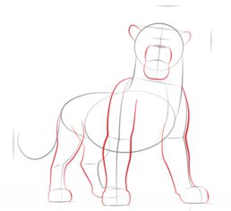 How to draw: Simba 4