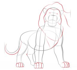 How to draw: Simba 5