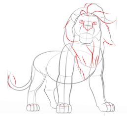 How to draw: Simba 6