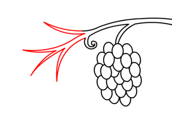 Jak narysować: Winogrono