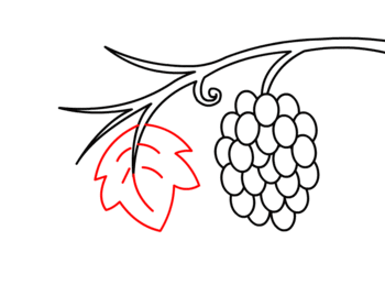 Come disegnare: Uva
