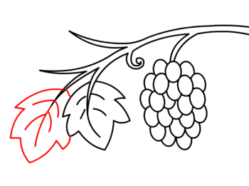 Zeichnen Tutorial: Weintraube