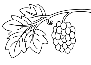 Zeichnen Tutorial: Weintraube